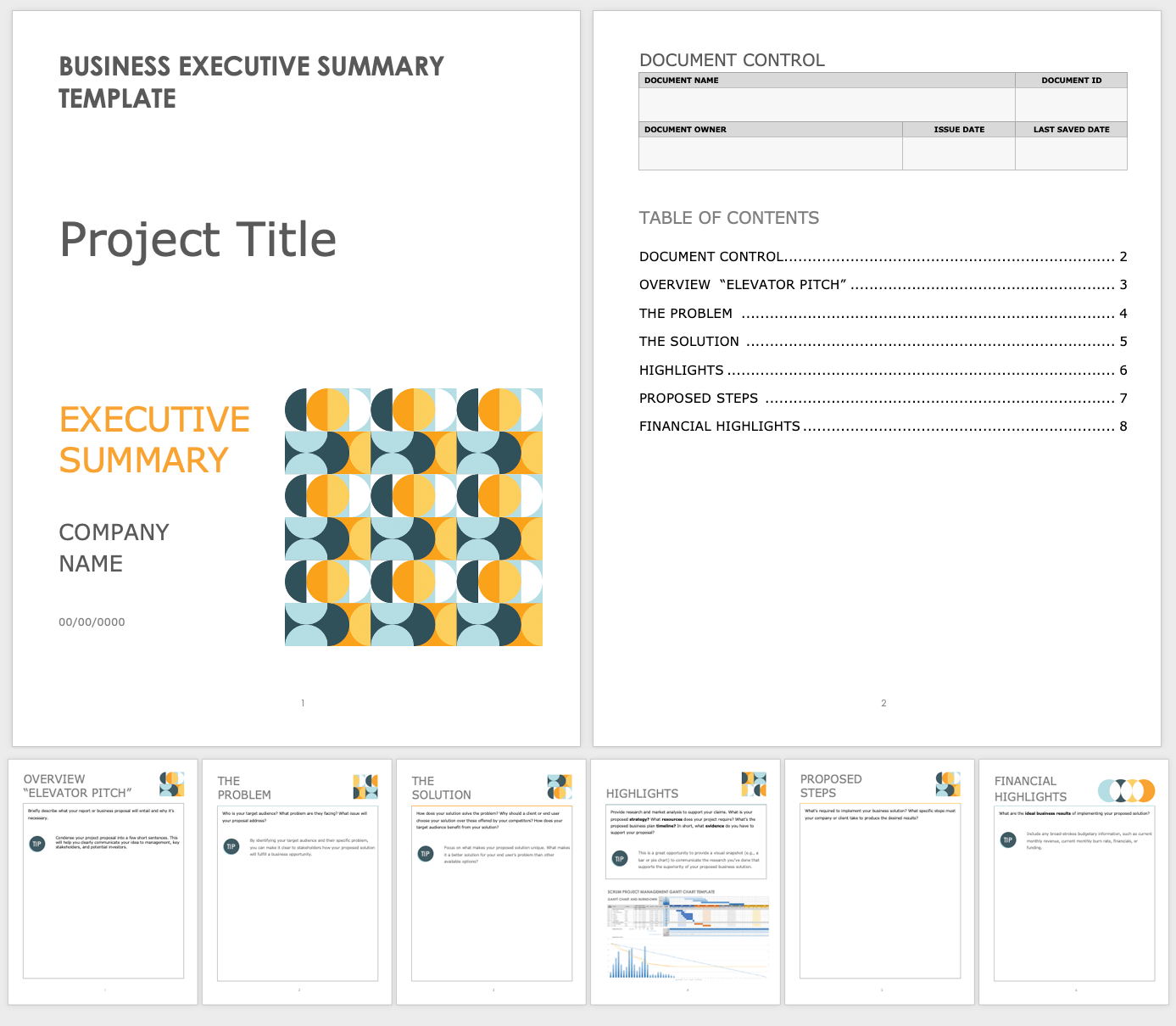 Business Executive Summary Template