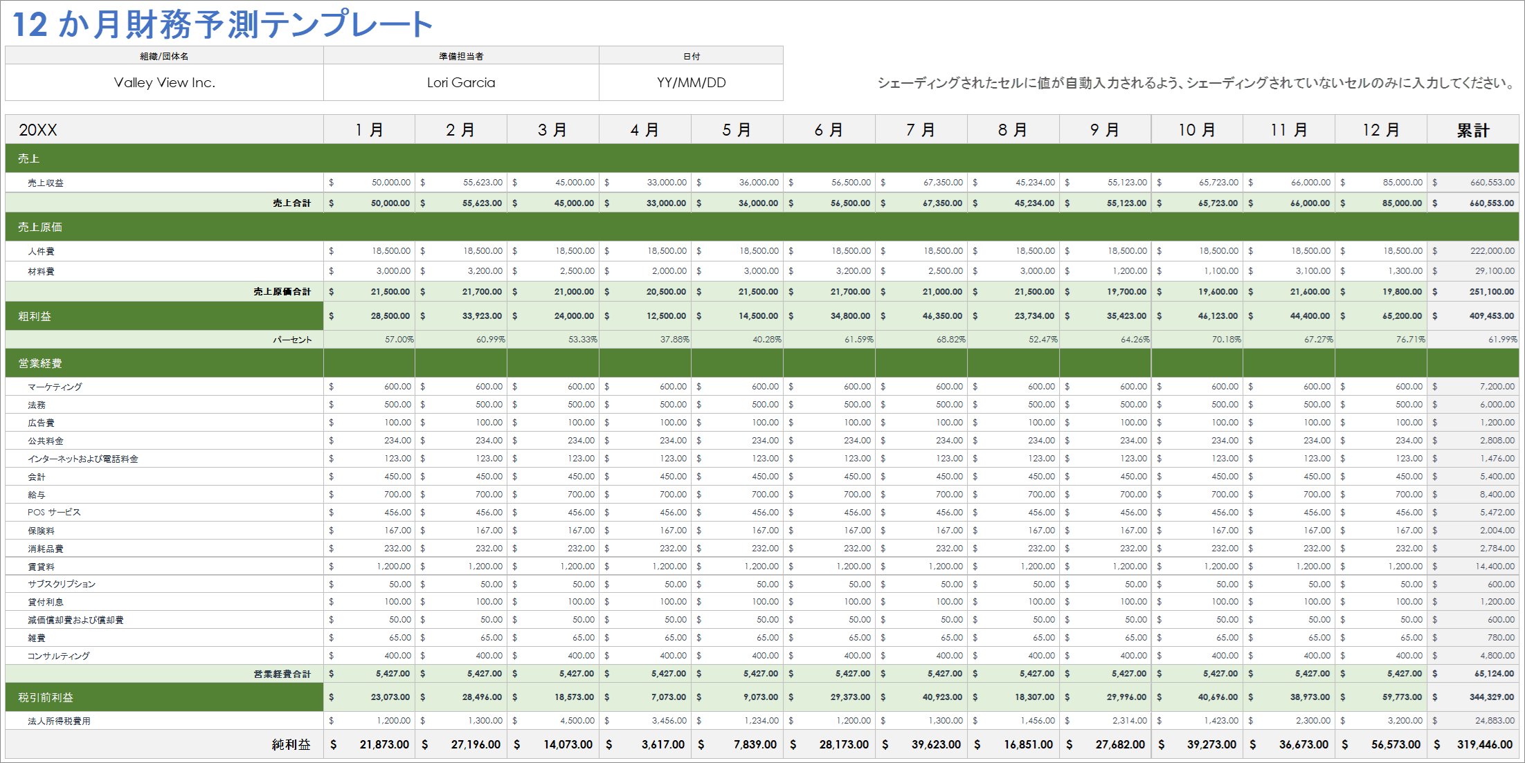  12 か月の財務予測の例テンプレート