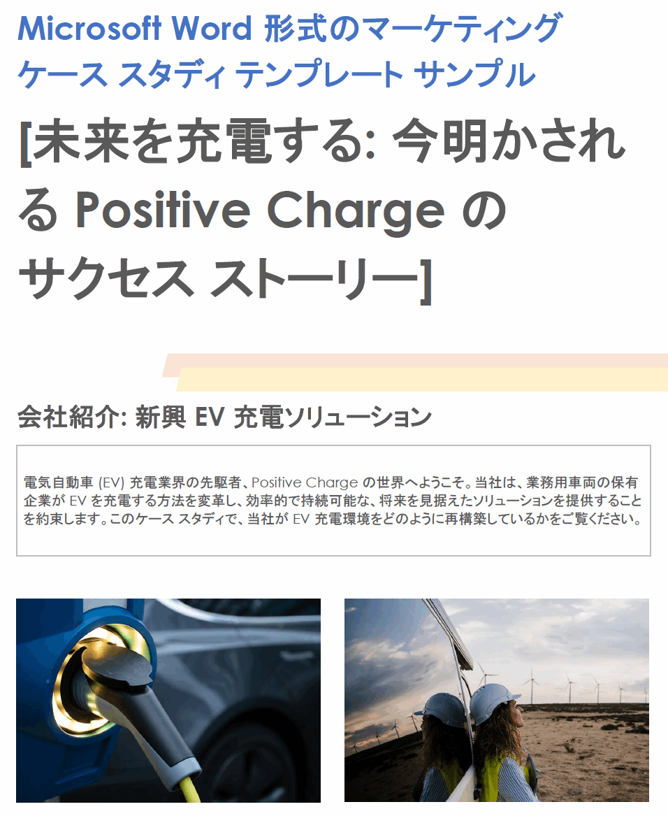 マーケティング ケース スタディ テンプレート記入例