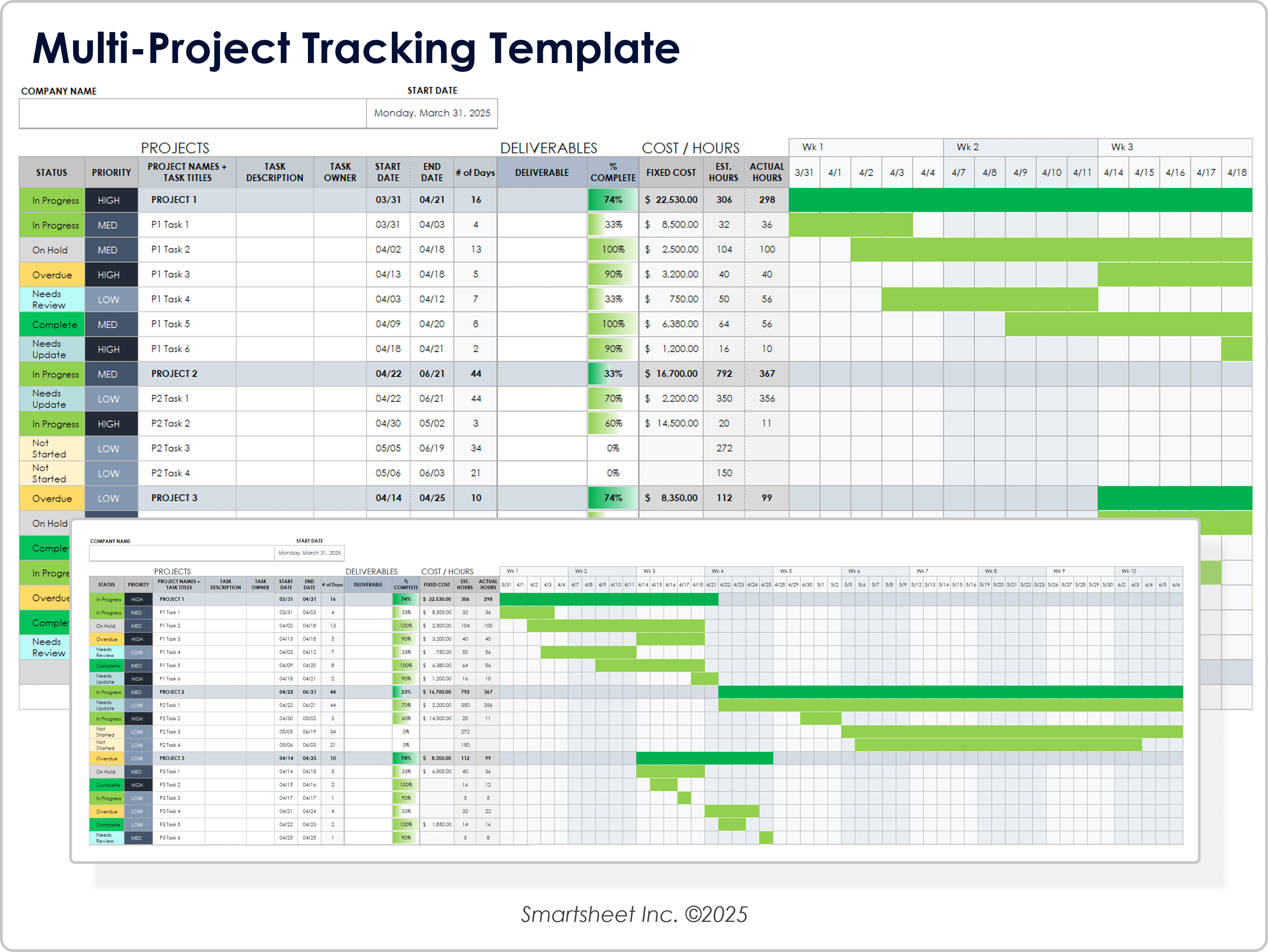 Multi Project Tracking Template